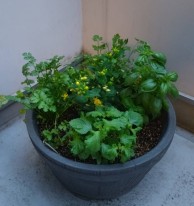 565745781509194089-e1750117411361